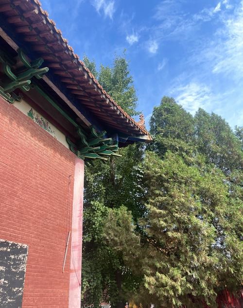 观音灵课签求职签社交恐惧怎么办(观音灵课签能否助我克服社交恐惧找工作吗) 观音灵课签求职签社交恐惧怎么办(观音灵课签能否助我克服社交恐惧找工作吗)