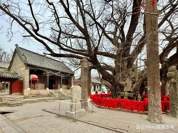 女命正官正印正财都有 正财 女命正官正印正财都有 正财