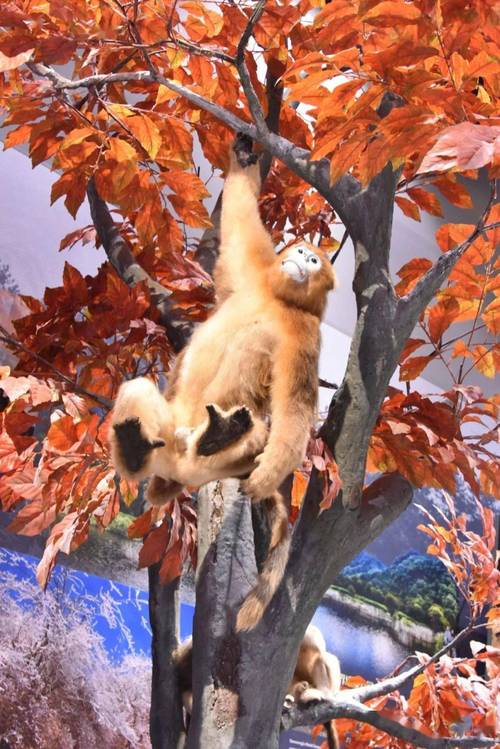 ���г�����նɷ��סլ��ˮ����ЩӰ�� ����δ���