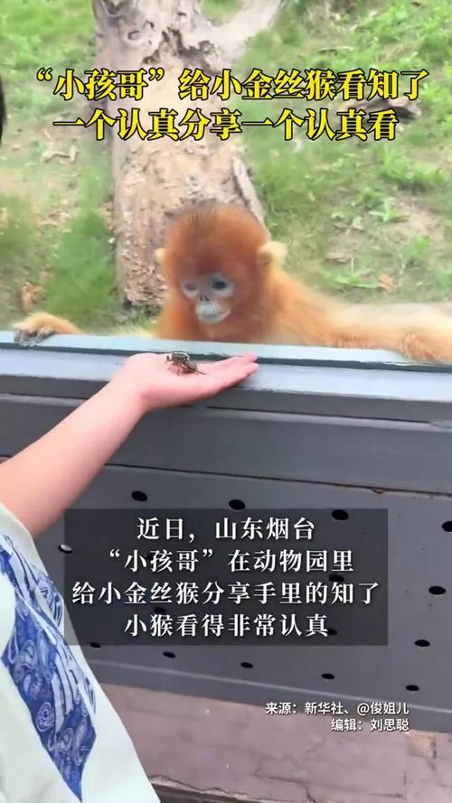 ������ˮƿ������ ��ˮƿ��������ô��ͷ