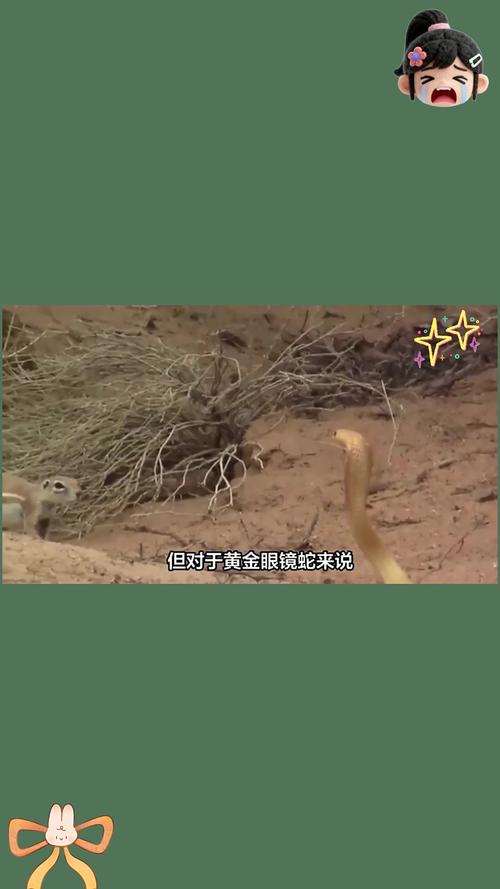 白羊座为什么怕天秤座 白羊座为什么怕天秤座