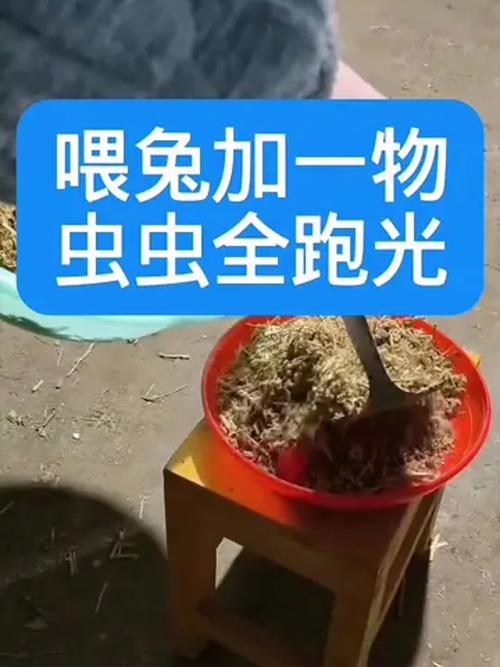 史上最恐怖心理测试图 帮忙分析下SCL90心理测试 史上最恐怖心理测试图 帮忙分析下SCL90心理测试