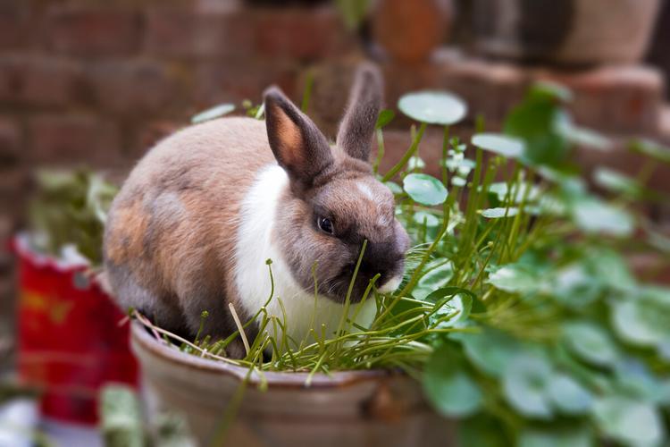 公司兄弟取名 公司大群怎么取名好听 公司兄弟取名 公司大群怎么取名好听