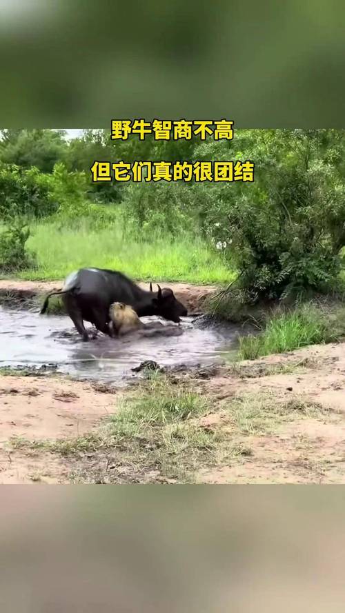 手机号码合数测吉凶真的能影响运势吗我该才能避免不好的数字带来的负面影响 手机号码合数测吉凶真的能影响运势吗我该才能避免不好的数字带来的负面影响