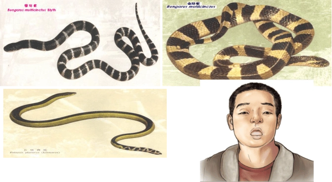 宝宝起名改名软件会触犯法律问题让人(宝宝起名改名软件合法会影响未来吗) 宝宝起名改名软件会触犯法律问题让人(宝宝起名改名软件合法会影响未来吗)