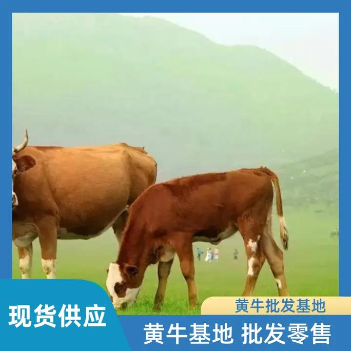 鸡宝宝龙凤胎起名字 龙凤双胞胎名字 鸡宝宝龙凤胎起名字 龙凤双胞胎名字