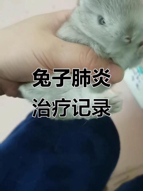 2026年3月7日出生男孩八字起名 最吉利的男宝宝名字 2026年3月7日出生男孩八字起名 最吉利的男宝宝名字