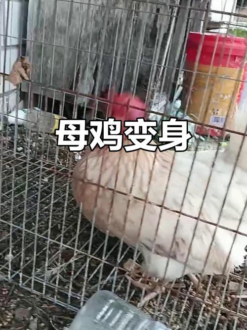 刘姓女孩起名缺金的字能促进她情感成长(刘姓女孩起名缺金的字能否影响情感成长发展) 刘姓女孩起名缺金的字能促进她情感成长(刘姓女孩起名缺金的字能否影响情感成长发展)