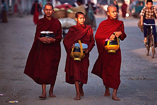夜行书生最后一集书生怎么活下来的歌名有带 夜行书生最后一集书生怎么活下来的歌名有带
