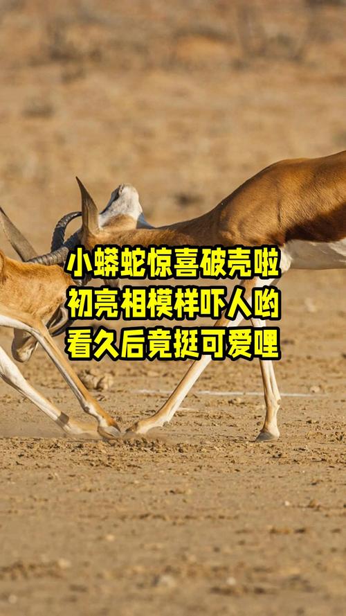 ��һ����ʲôѧ��ˮƽ