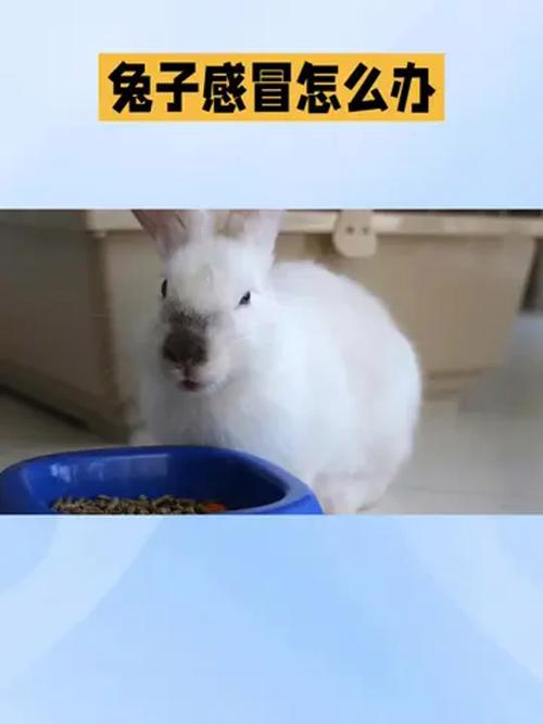 八字比劫的特性 八字比劫的特性