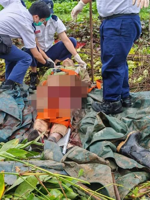 宝宝带排行起名 起名常用字排行 宝宝带排行起名 起名常用字排行