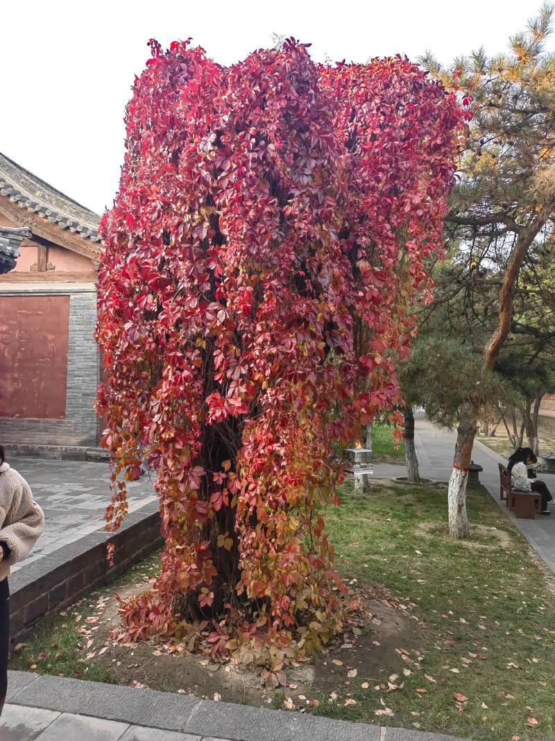 命里有星有什么隐忧 天星八字算命为你生命密码 命里有星有什么隐忧 天星八字算命为你生命密码