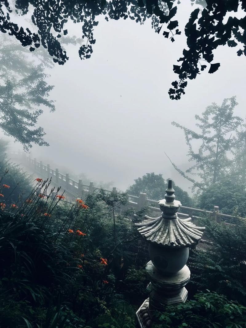 美丽健康大咖时尚之夜荣耀开启巅峰盛典 美丽健康大咖时尚之夜荣耀开启巅峰盛典