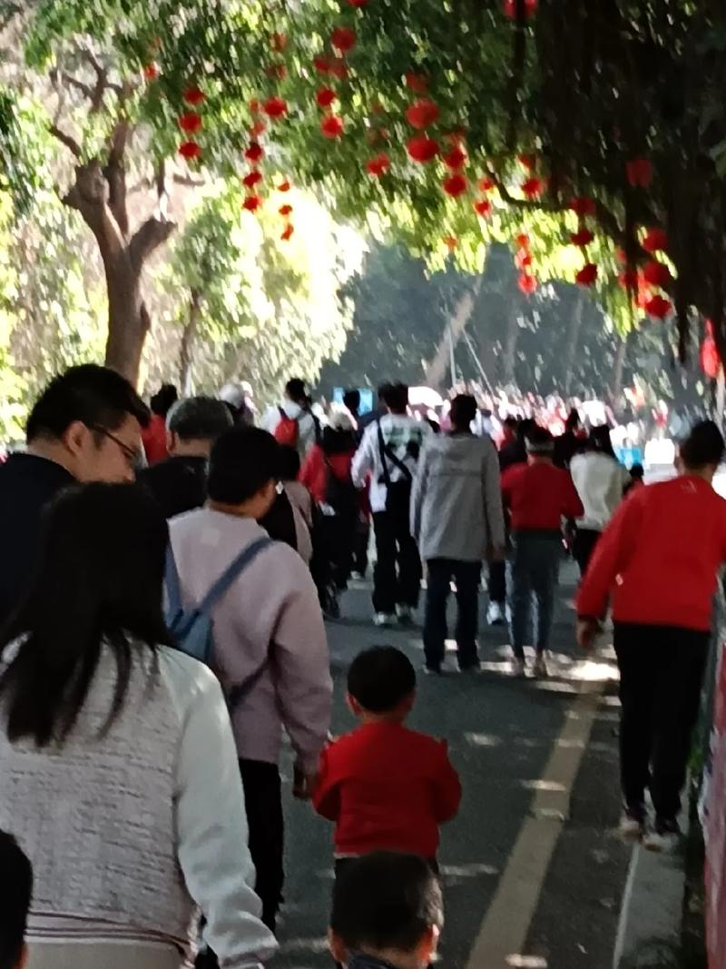 属龙今年多大2026年多少岁 88年属龙男2026年和大 属龙今年多大2026年多少岁 88年属龙男2026年和大