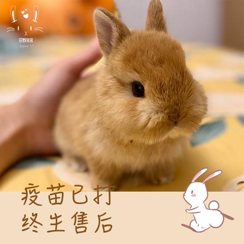 私人定制美容工作室名字大全 公司起名优雅大气 私人定制美容工作室名字大全 公司起名优雅大气
