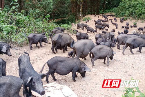 关于工程类公司取名 工程行业名怎么起寓意佳 关于工程类公司取名 工程行业名怎么起寓意佳