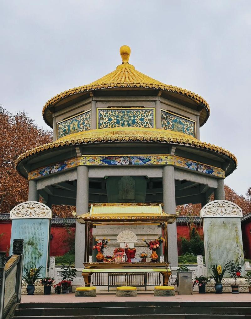 徐峥老婆陶虹个人资料 徐峥老婆陶虹个人资料